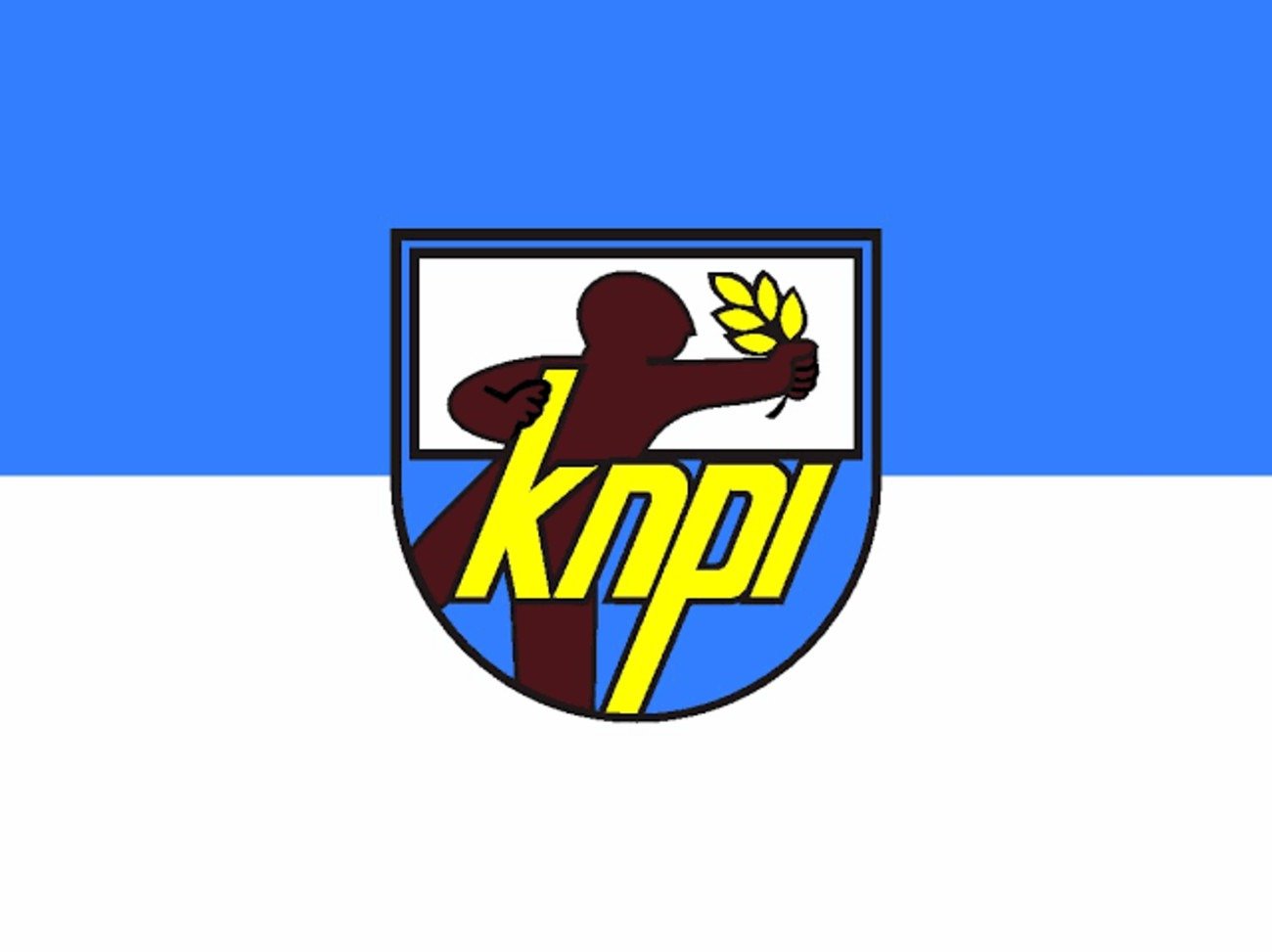 Logo Knpi